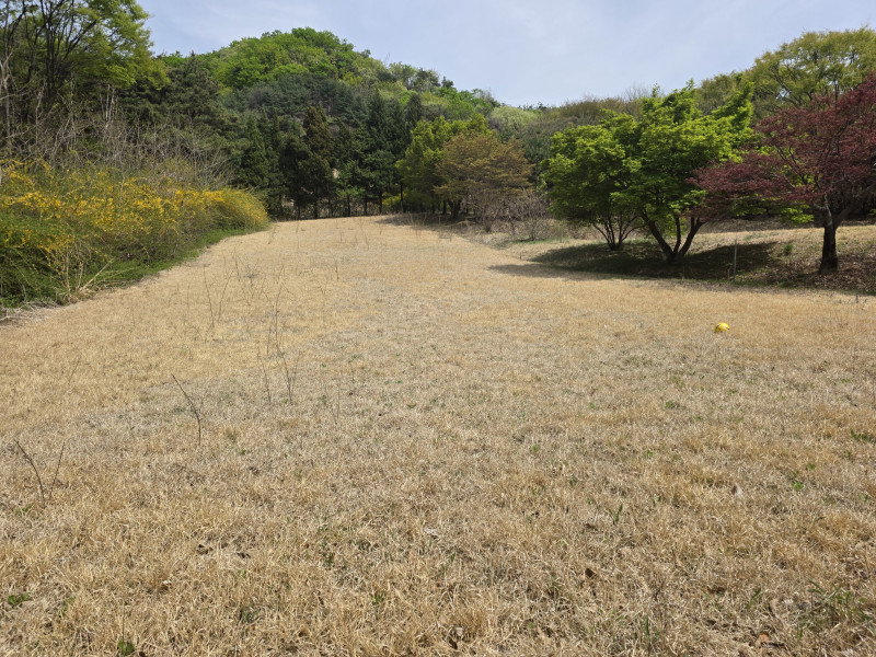 3a3320ac163934364cc7445a4847188aedcd33c8.jpg