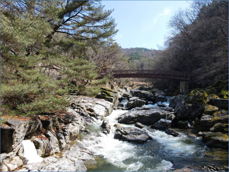 5d9b8afae6269a35459927e5dc7c96b6e5148491.jpg