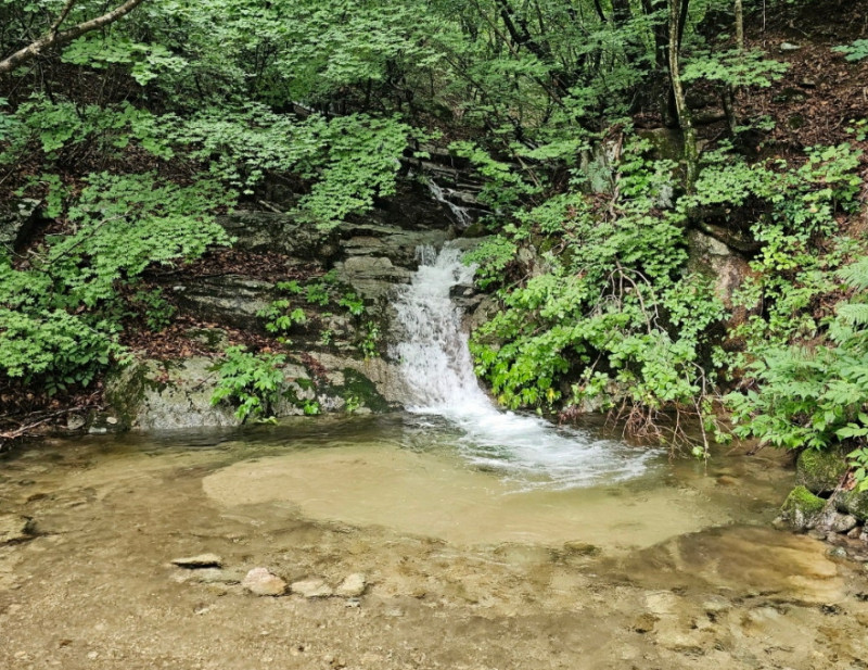 9a16874b9f53b3e839ade5358887e24aca14c911.jpg