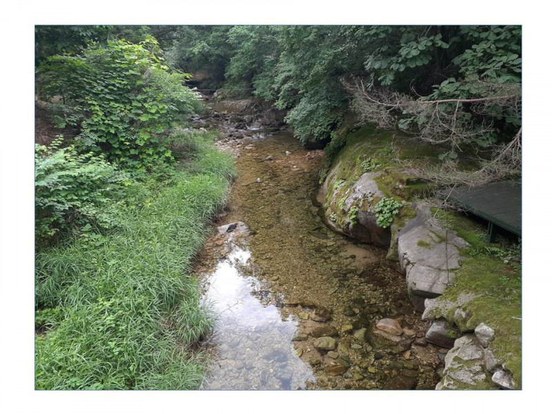 530745e15ac3dd93eab0344c201303e2091b530a.JPG