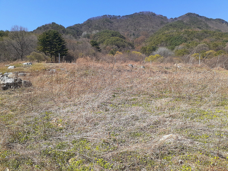 8763af500c827d474db0a957d2b0da8a9545bd6d.jpg